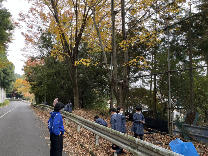 🍃ゆたか🍃１，２年生「落ち葉拾い」