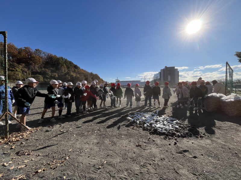 🍃ゆたか🍃１，２年生「焼き芋大会」